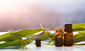 essential oils manufacturing Company