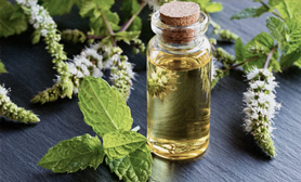 essential oils manufacturing