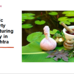 Ayurvedic Third Party Manufacturing Company in Maharashtra