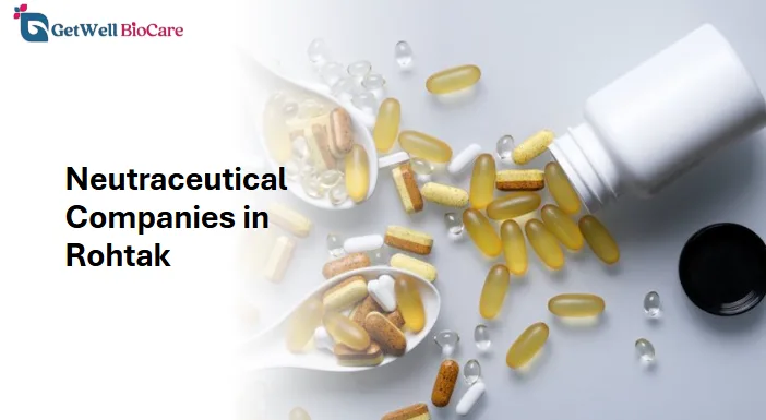 Neutraceutical Companies in Rohtak