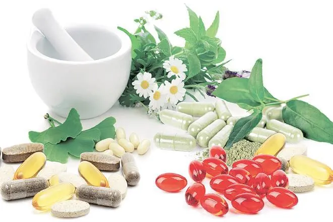 Nutraceutical Companies In Panipat