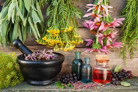 Ayurvedic Third Party Manufacturing Company in Sikkim