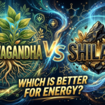 Ashwagandha vs Shilajit: Which Is Better for Energy Ashwagandha vs Shilajit Which Is Better for Energy